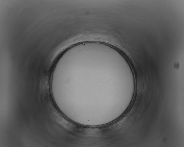 X0000093471498200710191134