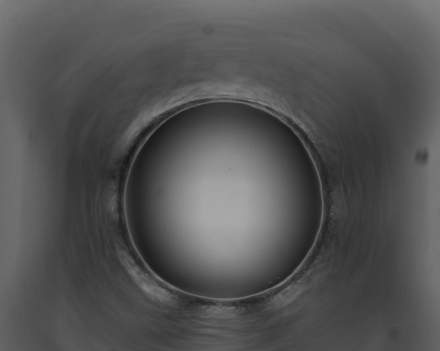 X0000093471499200710191134