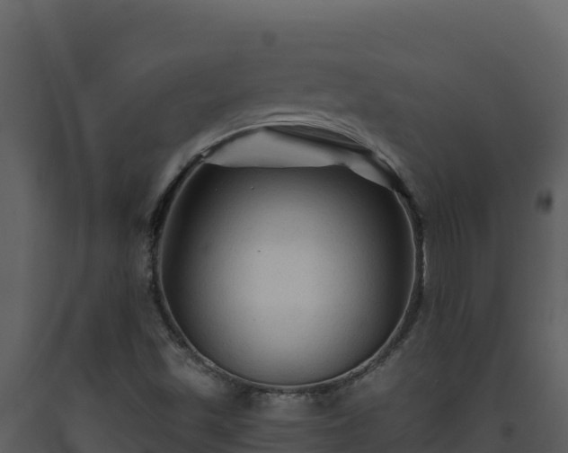 X0000093471501200710191134