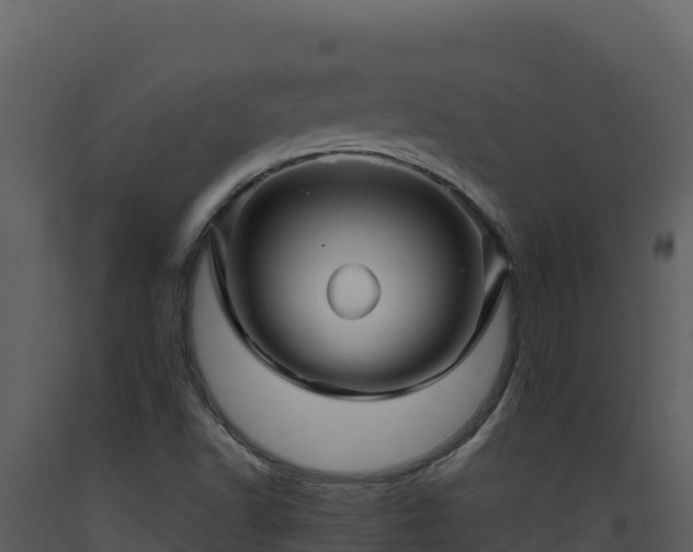 X0000093471502200710191134