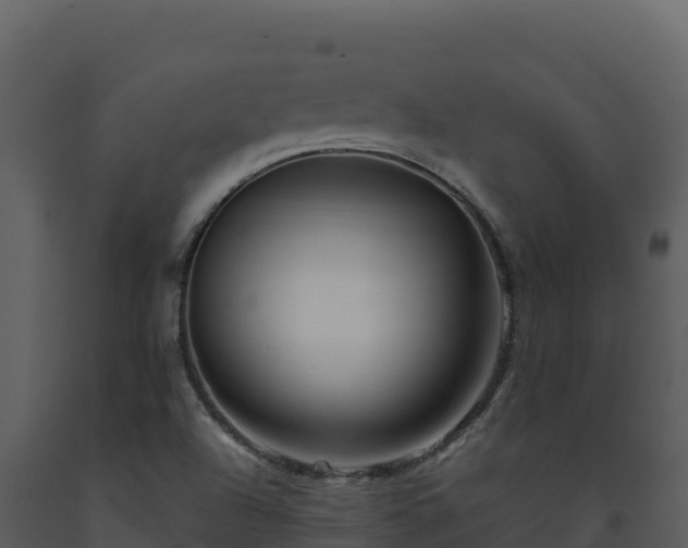 X0000093471504200710191134