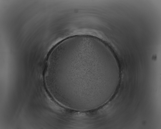 X0000093471505200710191134