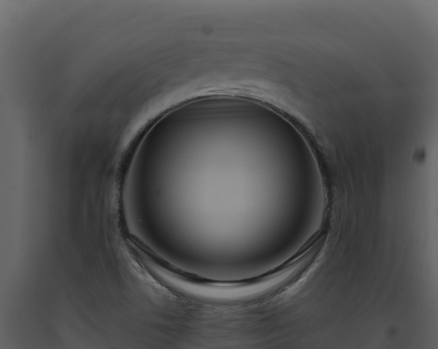 X0000093471506200710191134