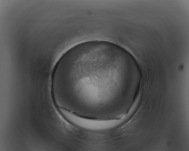 X0000093471508200710191134