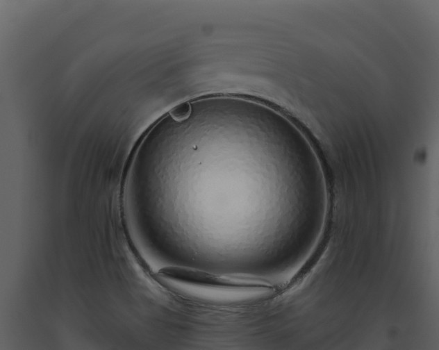 X0000093471513200710191134