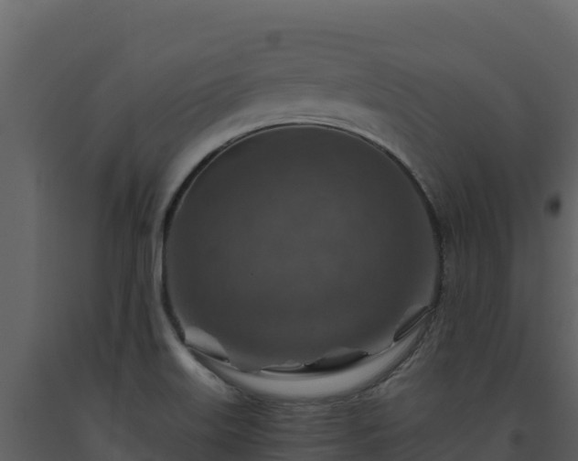 X0000093471515200710191134