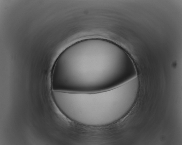 X0000093471516200710191134