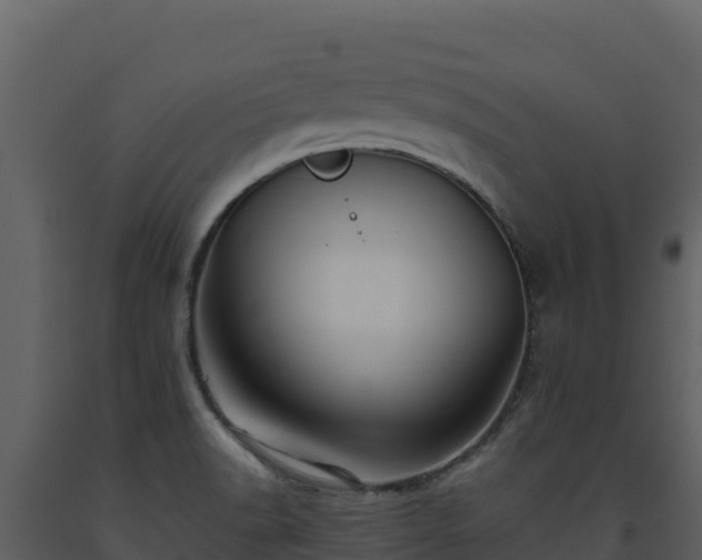 X0000093471518200710191134