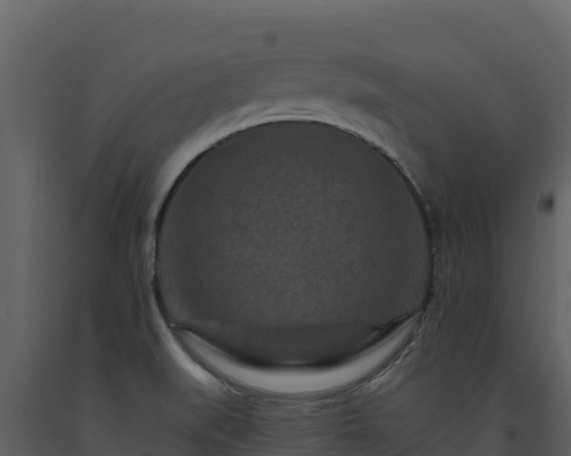 X0000093471519200710191134