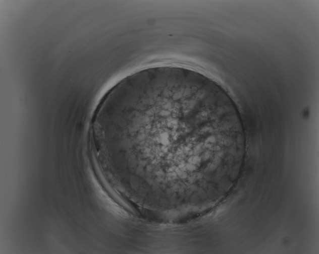 X0000093471522200710191134