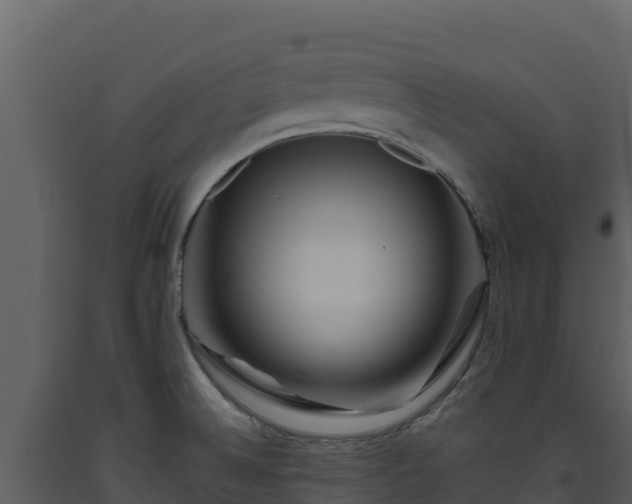 X0000093471524200710191134