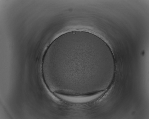 X0000093471525200710191134