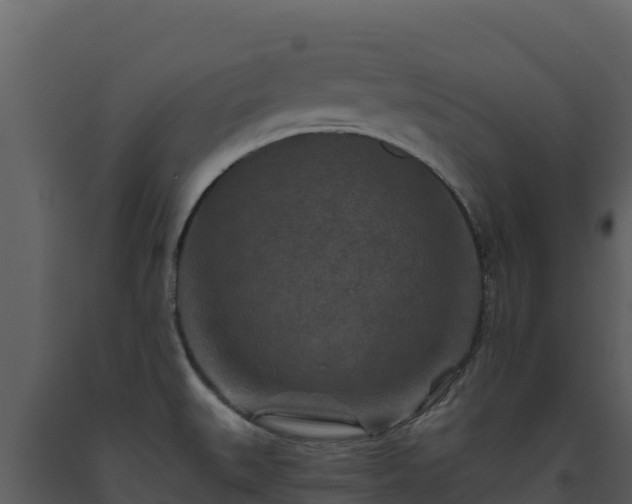 X0000093471527200710191134