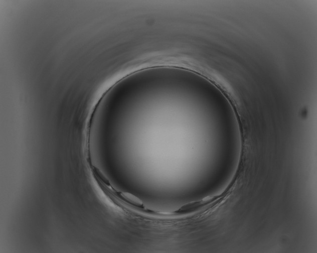 X0000093471528200710191134