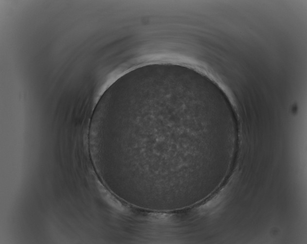 X0000093471529200710191134