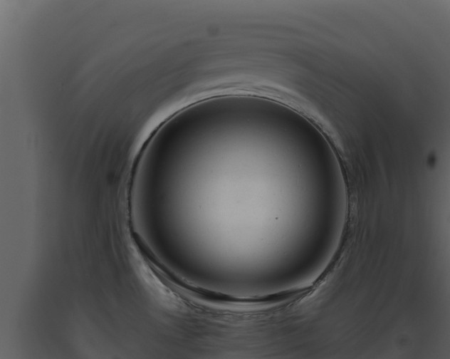 X0000093471530200710191134