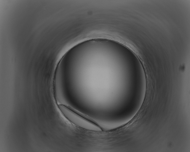 X0000093471536200710191134