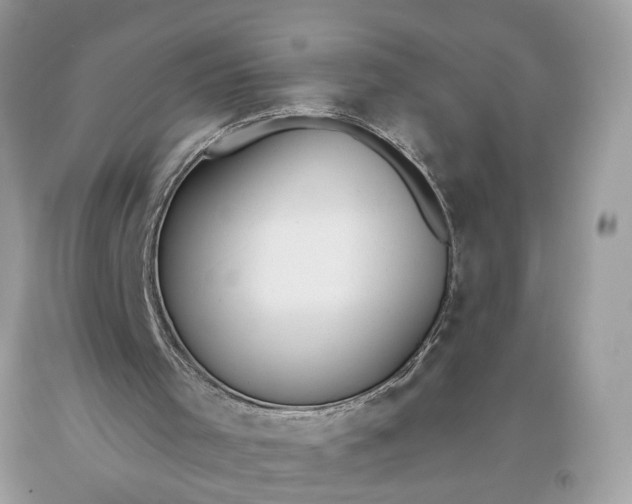 X0000093470001200710261053