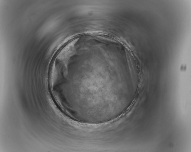 X0000093470002200710261053