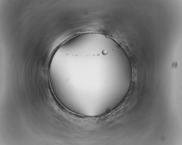 X0000093470004200710261053