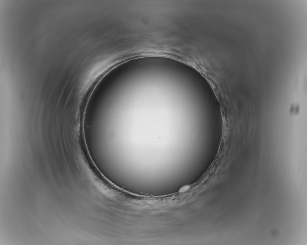 X0000093470005200710261053