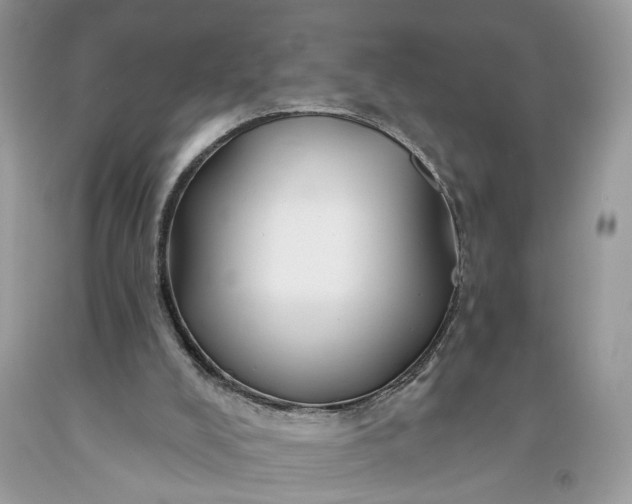 X0000093470008200710261053