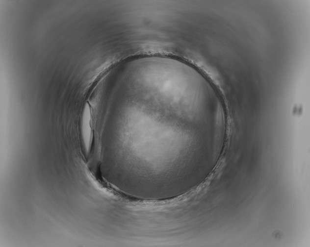 X0000093470009200710261053