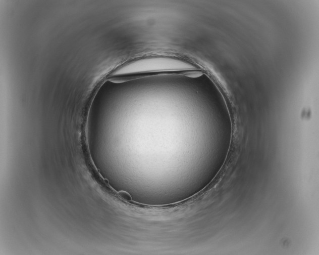 X0000093470010200710261053