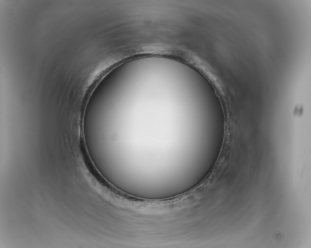 X0000093470011200710261053