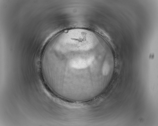 X0000093470012200710261053