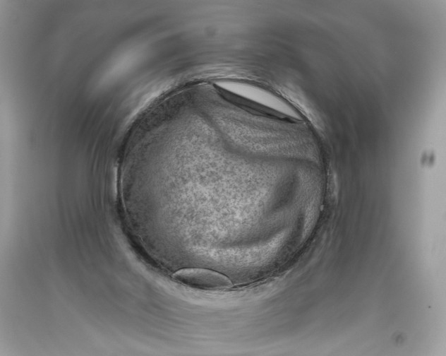 X0000093470014200710261053