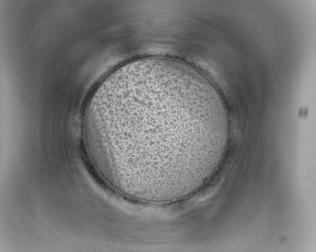 X0000093470016200710261053