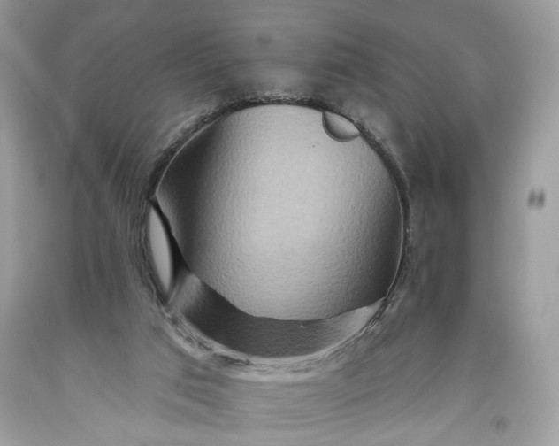 X0000093470017200710261053