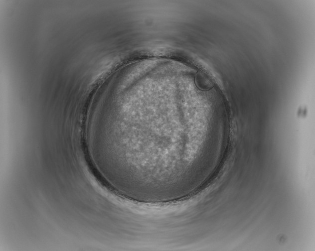 X0000093470018200710261053