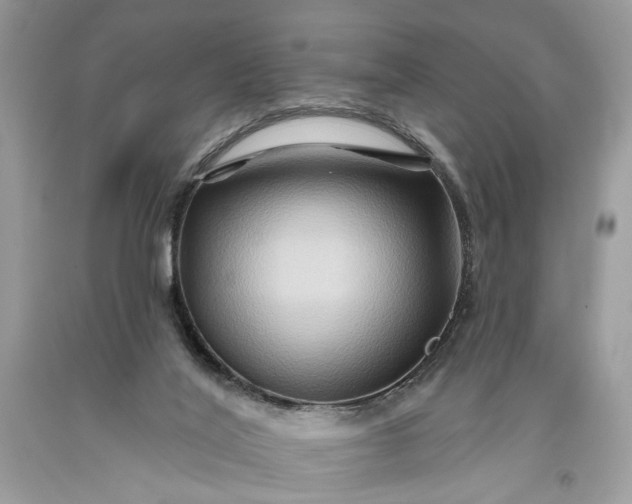 X0000093470020200710261053