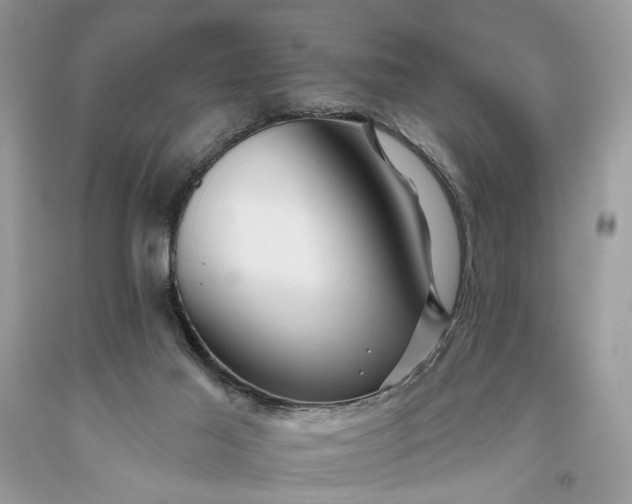 X0000093470021200710261053