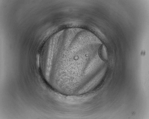 X0000093470022200710261053