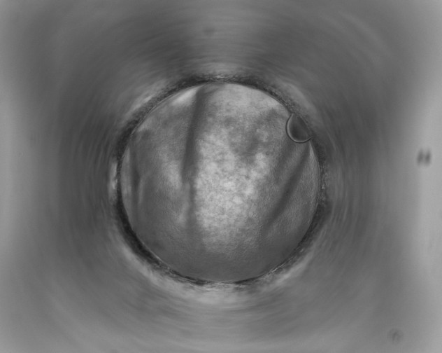 X0000093470024200710261053