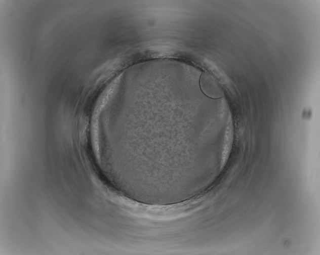 X0000093470026200710261053