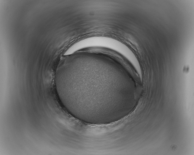 X0000093470029200710261053