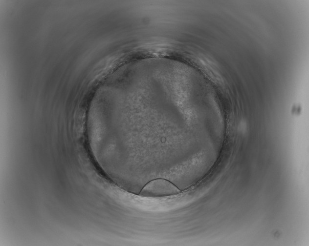 X0000093470030200710261053