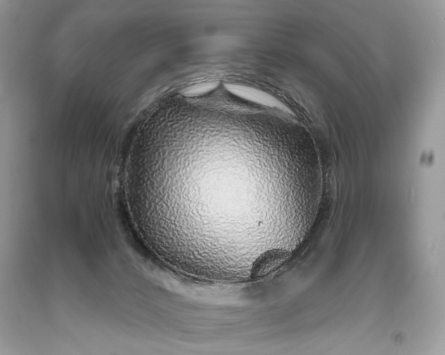 X0000093470032200710261053