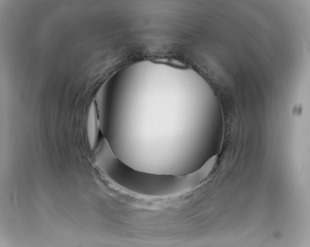 X0000093470033200710261053