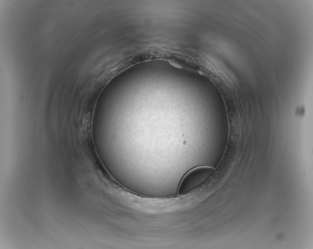 X0000093470034200710261053