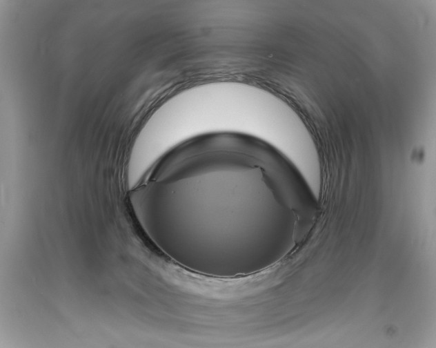 X0000093470035200710261053