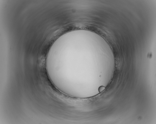 X0000093470036200710261053