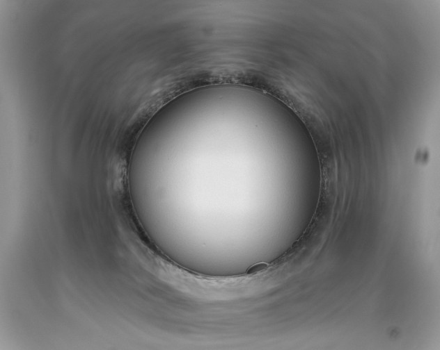 X0000093470038200710261053