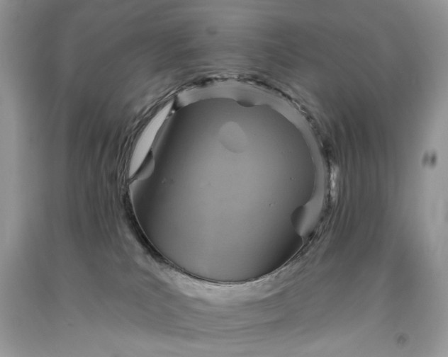 X0000093470039200710261053