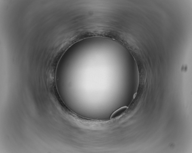 X0000093470040200710261053