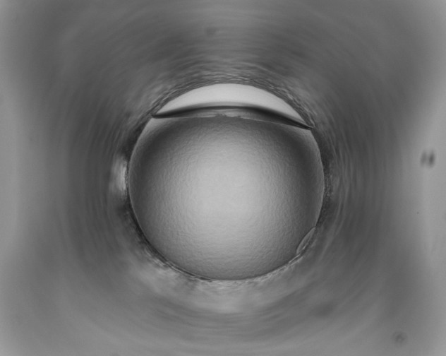 X0000093470041200710261053